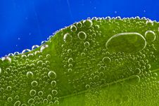 Green Leaf With Bubbles Stock Image