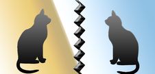 Cats Royalty Free Stock Image Cats Royalty Free Stock Image
