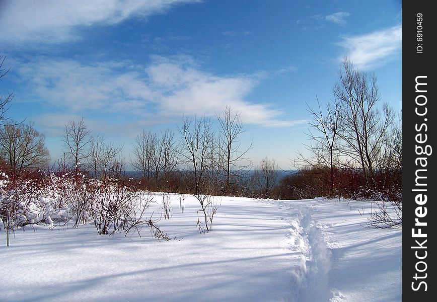 Winter landscape with lake and trees