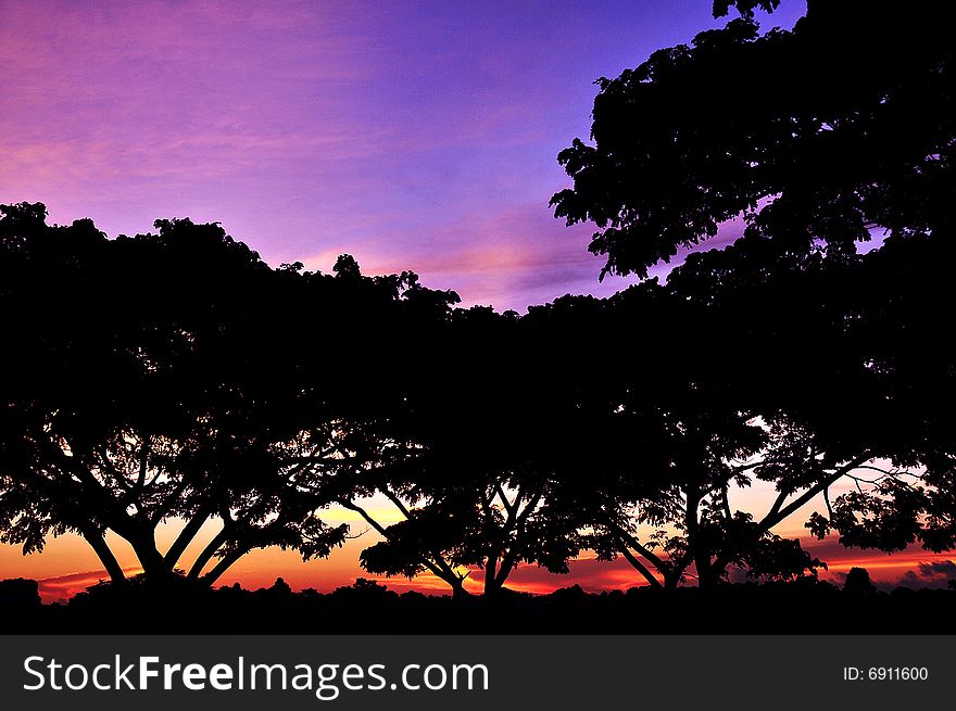 Sunrise against silhouette of acacia trees. Taken with Nikon d300, adjusted exposure in raw. Then adjusted curves in Photoshop. Not interpolated, not with bad sensor performance.