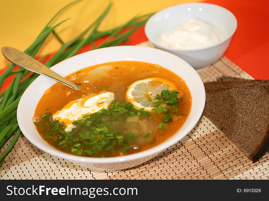 Russian Traditional Soup - Solyanka