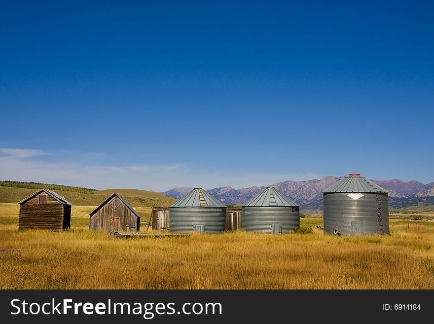 Barns in a field of wheat with blue sky. Barns in a field of wheat with blue sky