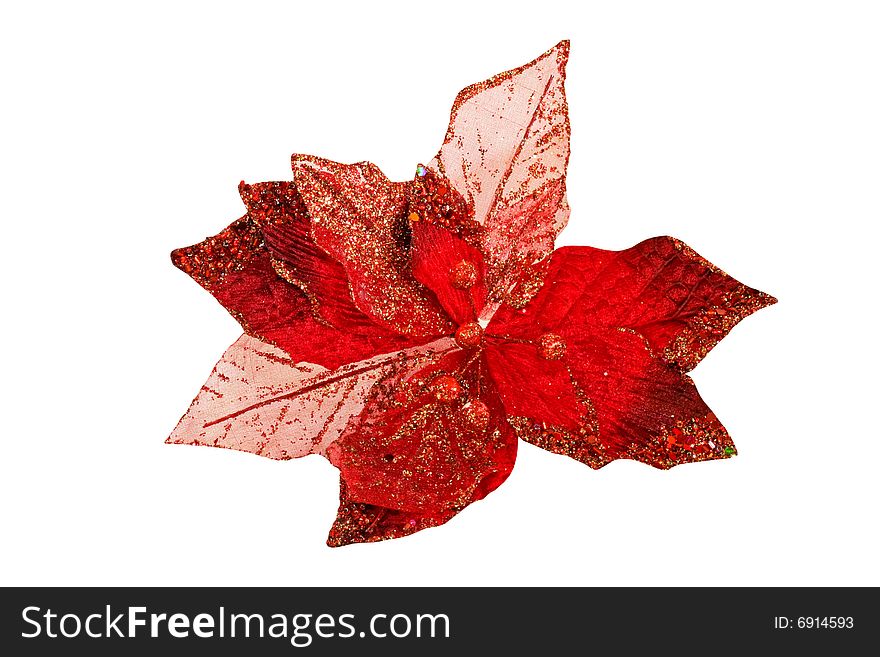Red Leaf Isolated