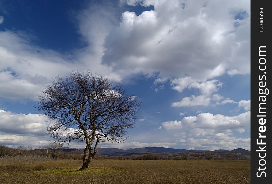 An autumn landscape with clouds and a lonely tree. An autumn landscape with clouds and a lonely tree