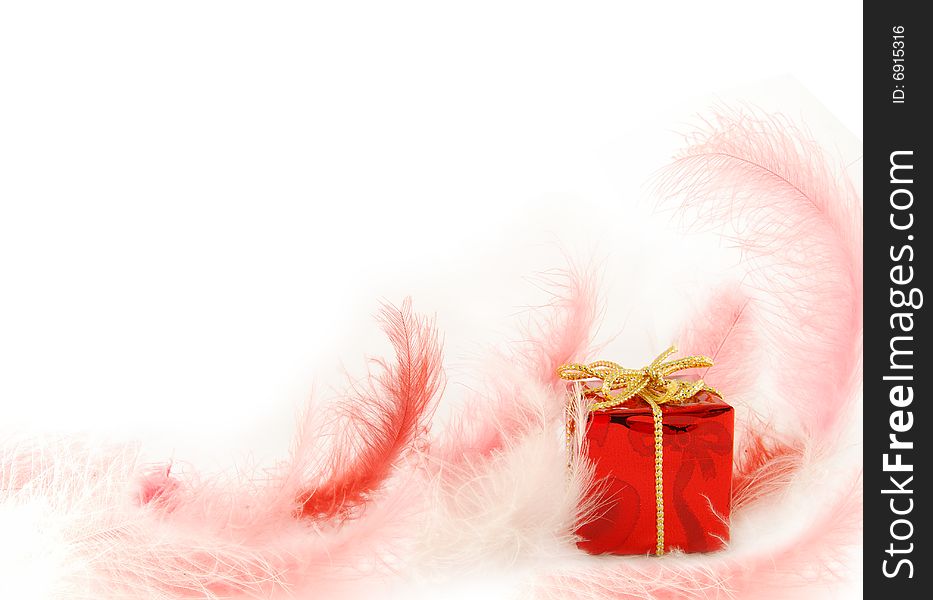 Red box with gift in the feathers on white background. Red box with gift in the feathers on white background