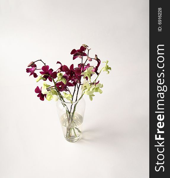 Bunch of orchids in a glass vase