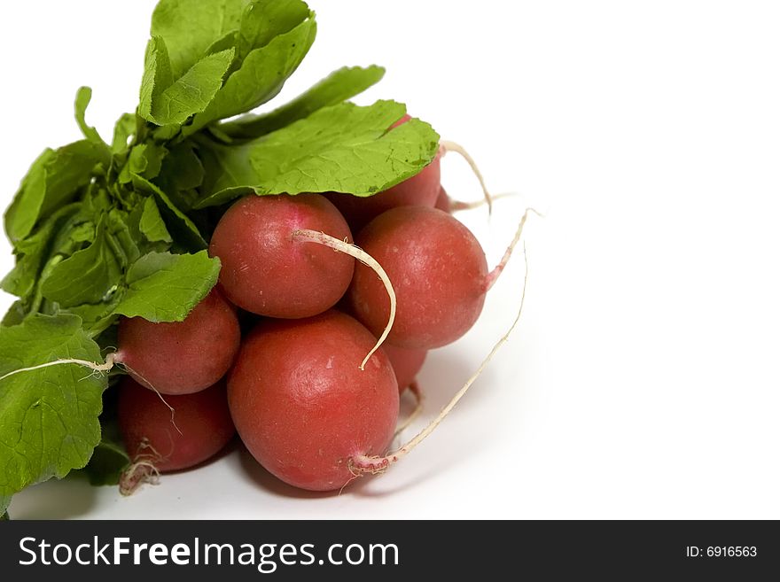 The bunch of radishes on white background