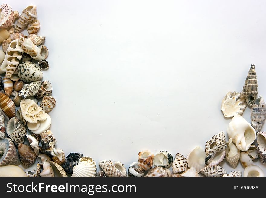 Different shells lying chaotically as a frame. Different shells lying chaotically as a frame