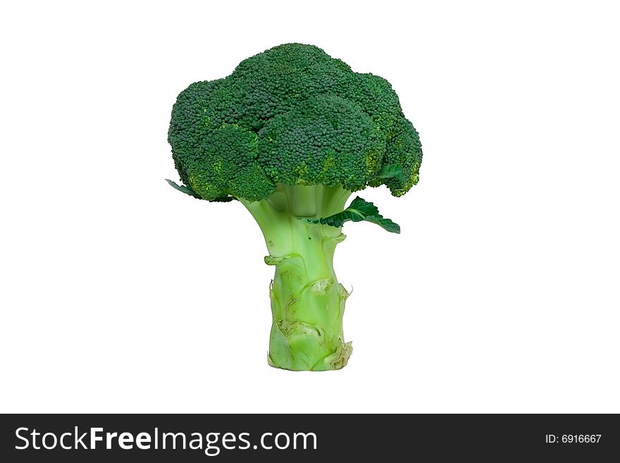 Green fresh broccoli isolated on white background