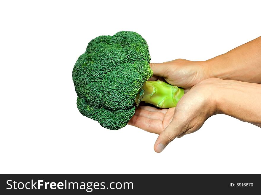 Green fresh broccoli in hands isolated on white background