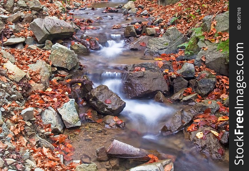 Little stream in autumn forest. Little stream in autumn forest