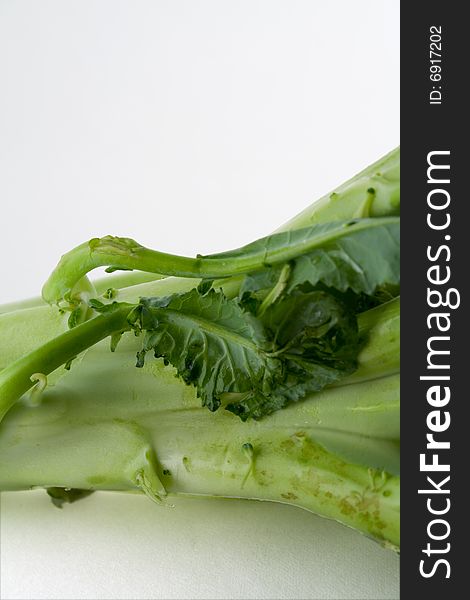 Close-up of a stalk of broccoli. Close-up of a stalk of broccoli