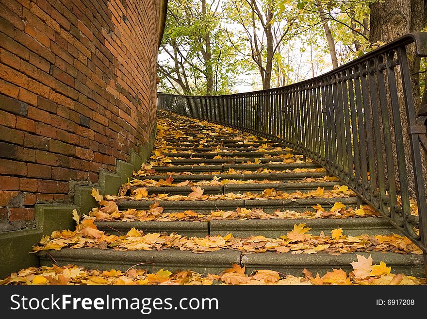 Stairs Covered By Leaves In Autumn