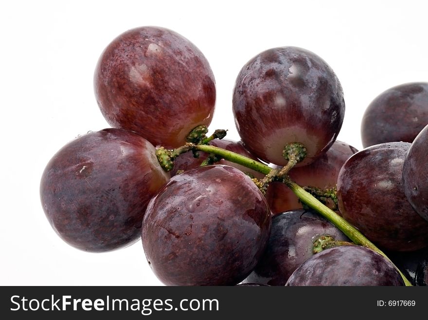 Blue grapes on white background. Blue grapes on white background