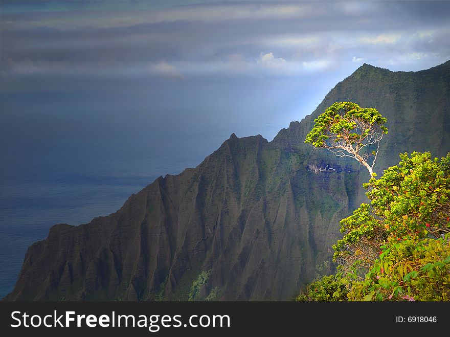 Tree Growing On A Mountain On The Napali Coast