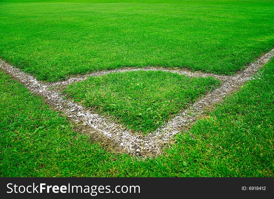 Beautiful green grass in the soccer stadium. Beautiful green grass in the soccer stadium