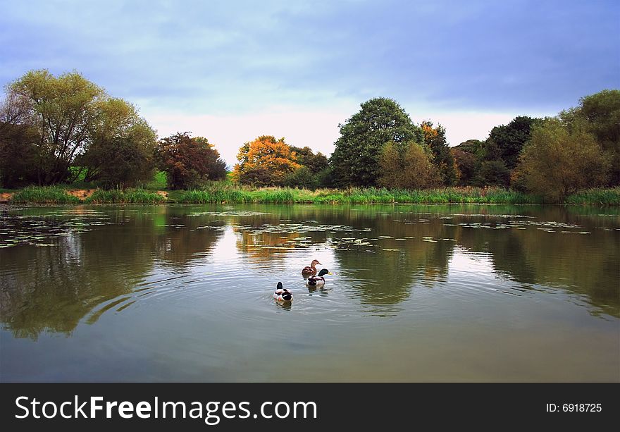 Fantastic autumnal reflection on the lake