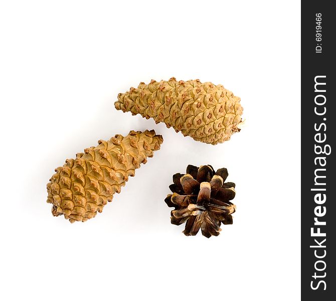 Fir cones on white background