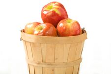 Bushel Of Apples Royalty Free Stock Photo