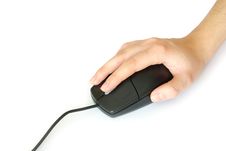 Computer Mouse Stock Photography