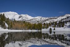 Winter Refelctions Stock Photo Winter Refelctions Stock Photo