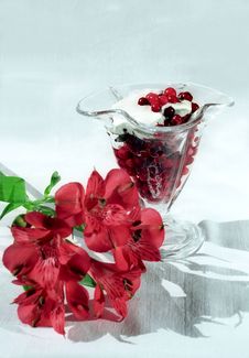 Red Berry With Cream And Flower Stock Photo Red Berry With Cream And Flower Stock Photo