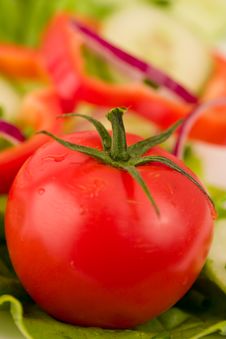Tomato Royalty Free Stock Images Tomato Royalty Free Stock Images