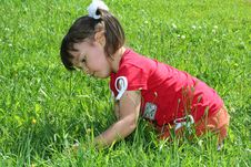 Little Girl Tear Flower Royalty Free Stock Photography Little Girl Tear Flower Royalty Free Stock Photography