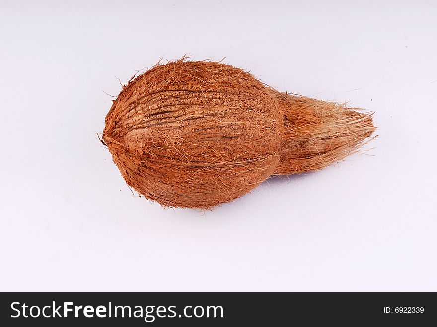 A single coconut on the white background