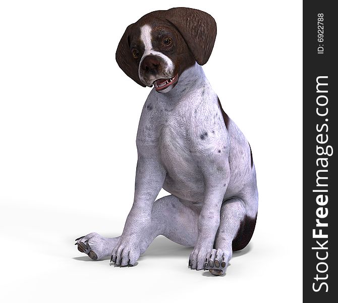 Very cute young dog over white with Clipping Path. Very cute young dog over white with Clipping Path