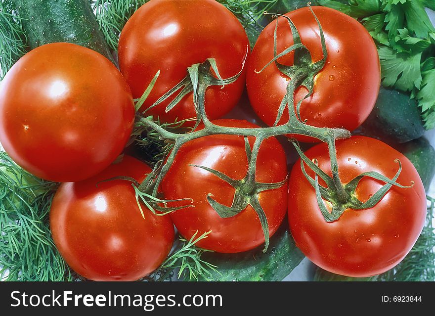 Bright red tomato branch close up