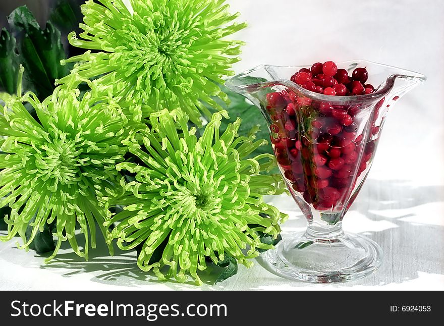 Red berry in glass and green chrysanthemums. Red berry in glass and green chrysanthemums