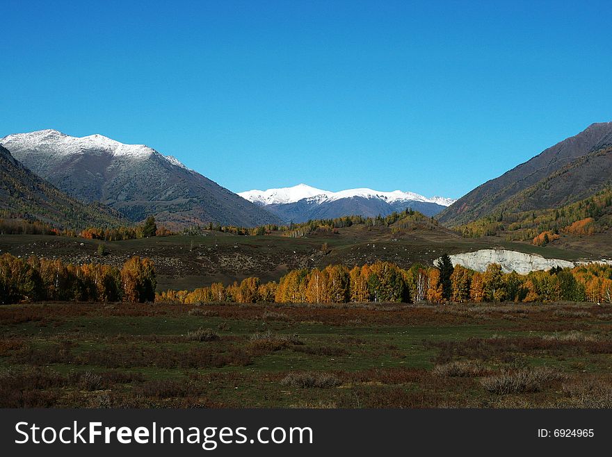 The alpine farm land in Hemu, Xinjiang, China. The alpine farm land in Hemu, Xinjiang, China.