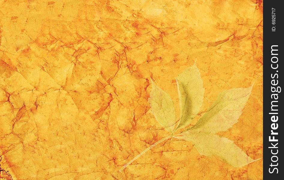 Crumpled and stained old paper with a transparent leaf