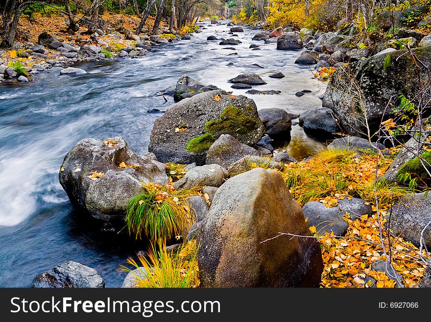 Creek in the forest in autumn