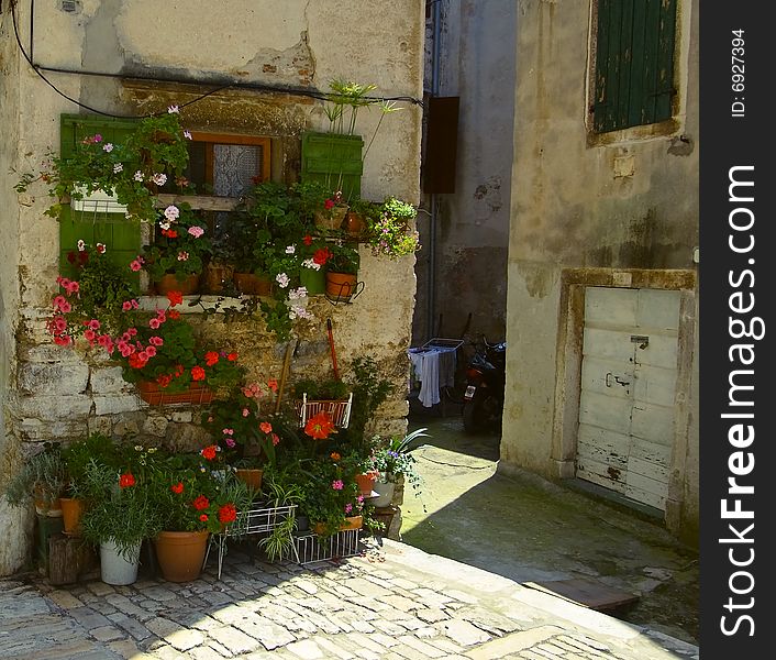 Photo of flowers placed at the courtyard lightened by sun. Photo of flowers placed at the courtyard lightened by sun