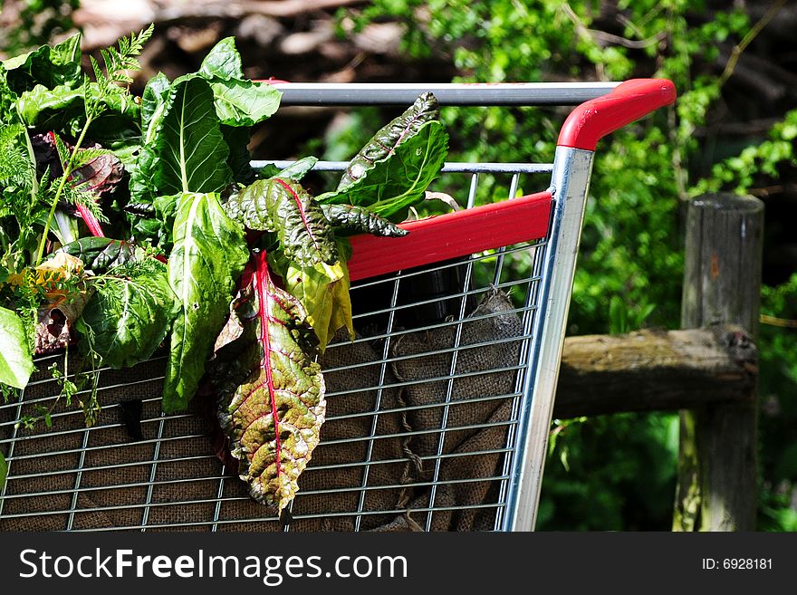 Shopping cart / trolley filled full of healthy greens. Shopping cart / trolley filled full of healthy greens