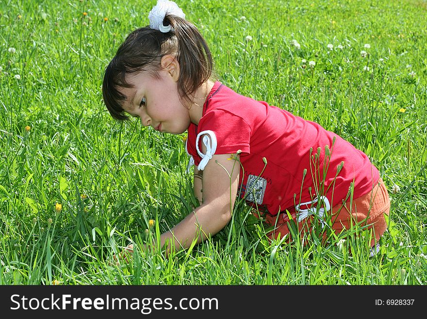 Little girl tear flower dandelion