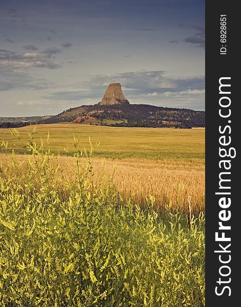 Devil's Tower National Monument in Wyoming.