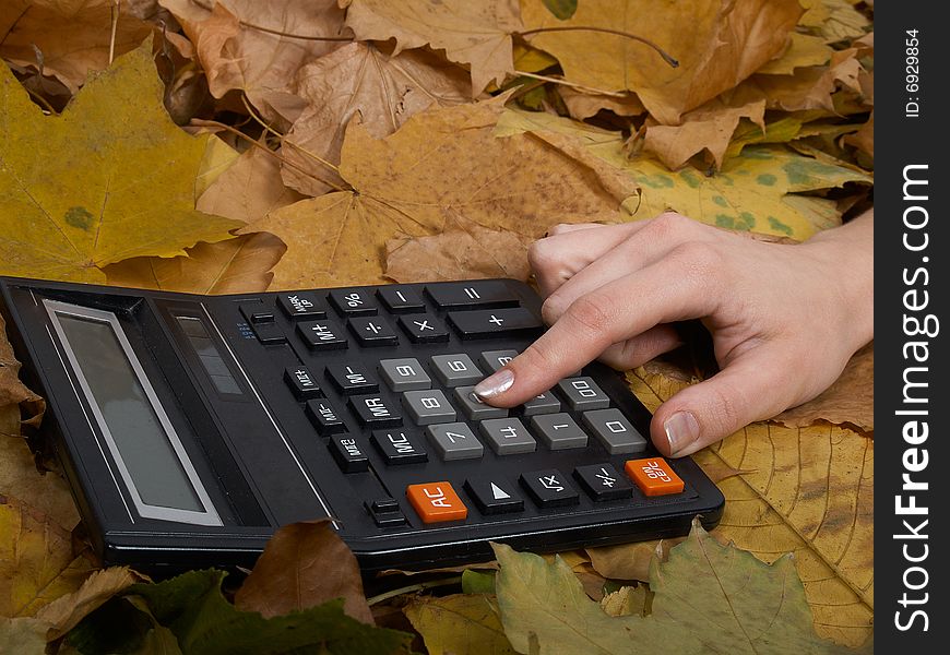 The picture represents a hand considers on the calculator on autumn leaves. The picture represents a hand considers on the calculator on autumn leaves