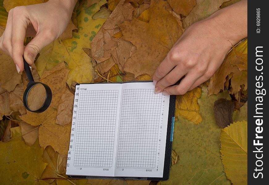 Office accessories against lying autumn leaves. Office accessories against lying autumn leaves