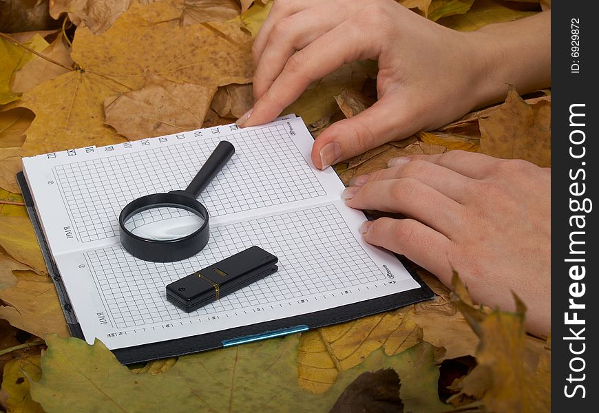 Office accessories against lying autumn leaves. Office accessories against lying autumn leaves