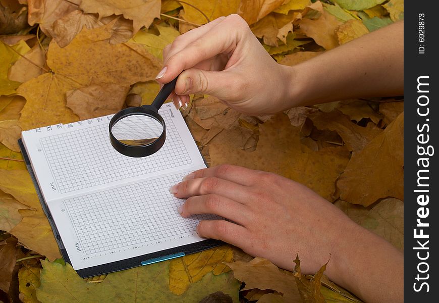 Office accessories against lying autumn leaves. Office accessories against lying autumn leaves