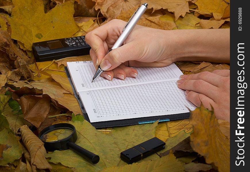 Office accessories against lying autumn leaves. Office accessories against lying autumn leaves