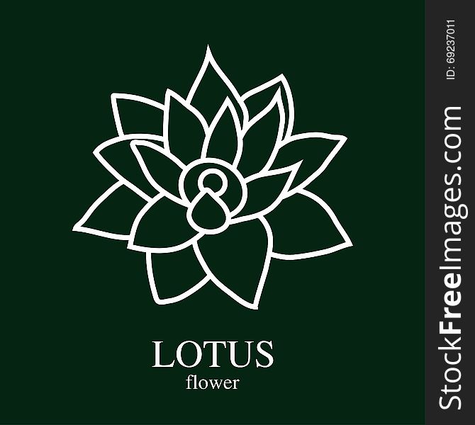 Vector illustration Lotus flower on a green background