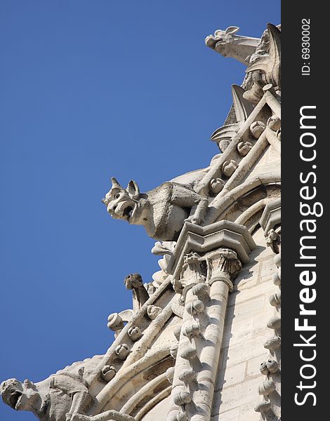 The Gargoyles of Notre Dame Cathedral, Paris