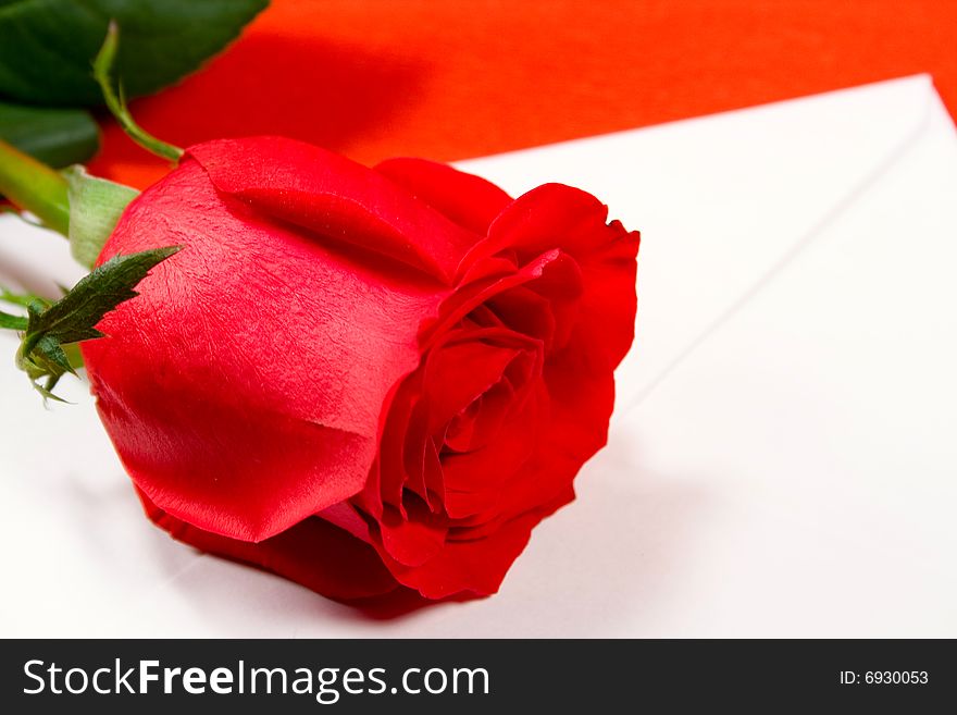 Red rose and envelope on red background