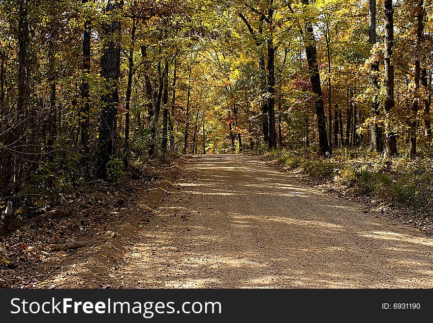 Shady gravel lane in Autumn. Shady gravel lane in Autumn