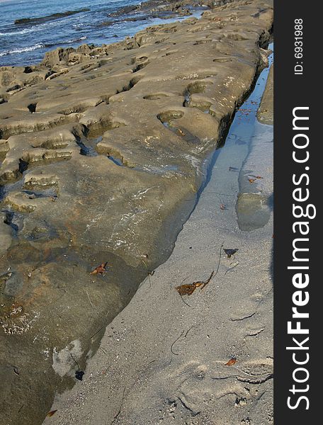 Discover La Jolla tidepools