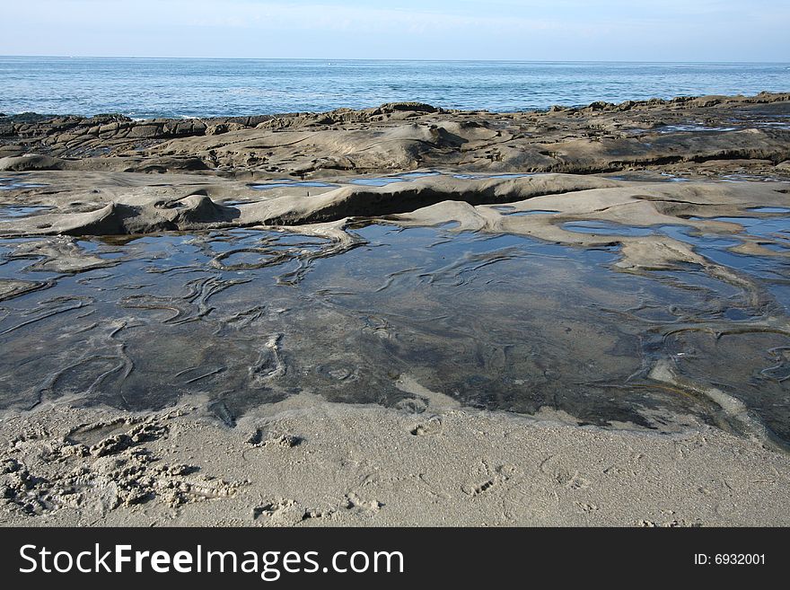 Discover the La Jolla, California, tidepools while ocean water trickles out to sea at low tide. Watch the sea creatures swimming in the water. Discover the La Jolla, California, tidepools while ocean water trickles out to sea at low tide. Watch the sea creatures swimming in the water.